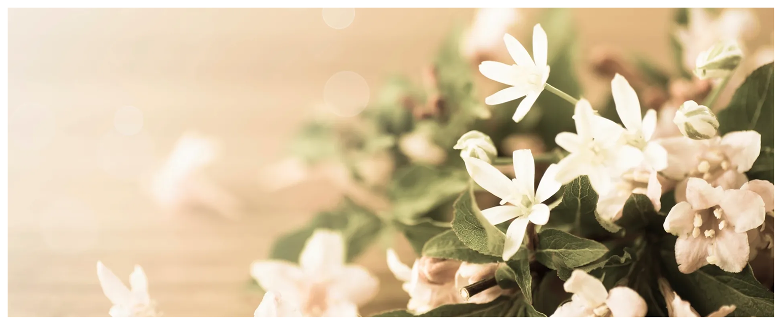 White flowers with green leaves on table.